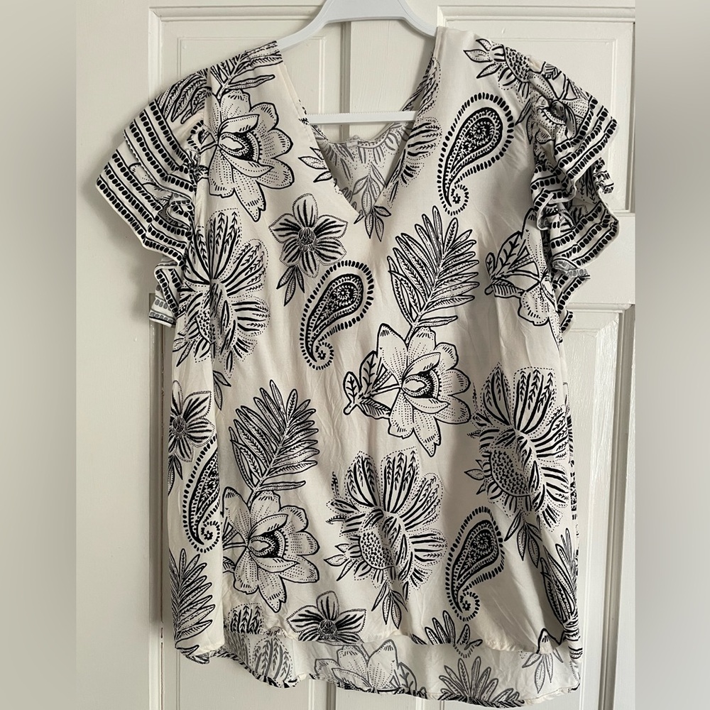 Rachel Zoe Cream Black Dressy Shortsleeve 2X